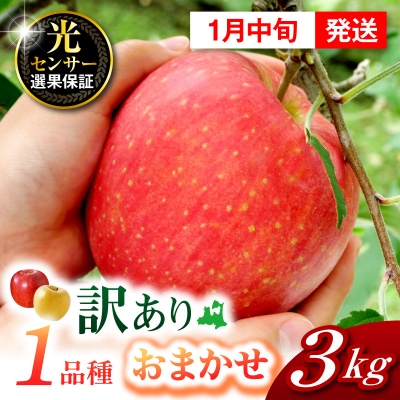 【2027年1月中旬発送】【訳あり】おまかせりんご3kg程度 青森【おまかせ1品種】