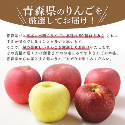 【2027年1月中旬発送】【訳あり】おまかせりんご3kg程度 青森【おまかせ1品種】