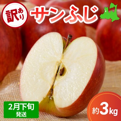 【2026年2月下旬発送】りんご訳あり3kgサンふじ青森不揃い