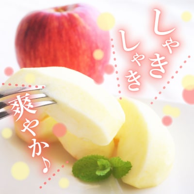 【2027年3月上旬発送】【訳あり】 りんご 約3kg サンふじ 青森 家庭用 不揃い