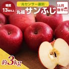 りんご サンふじ 約3kg 11月後半発送 光センサー 選果 糖度13度以上 丸福 青森 リンゴ