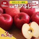 りんご サンふじ 約3kg 12月前半発送 光センサー 選果 糖度13度以上 丸福 青森 リンゴ