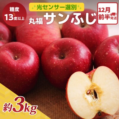 りんご サンふじ 約3kg 12月前半発送 光センサー 選果 糖度13度以上 丸福 青森 リンゴ