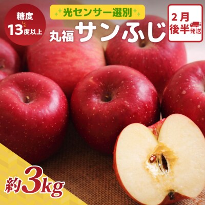 りんご サンふじ 約3kg 2月後半発送 光センサー 選果 糖度13度以上 丸福 青森 リンゴ