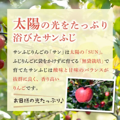りんご サンふじ 約3kg 2月後半発送 光センサー 選果 糖度13度以上 丸福 青森 リンゴ