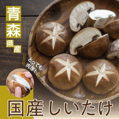【11月より順次発送】国産 肉厚 しいたけ 2kg 青森