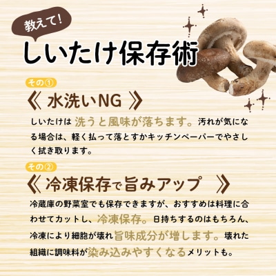 【11月より順次発送】国産 肉厚 しいたけ 2kg 青森