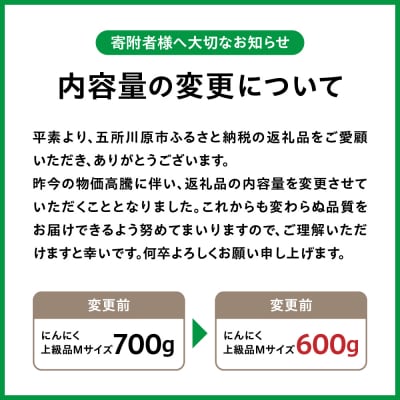 青森県産 にんにく (上級品)Mサイズ600g