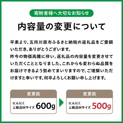 【8月上旬より順次発送】青森県産 にんにく (上級品) Mサイズ 500g