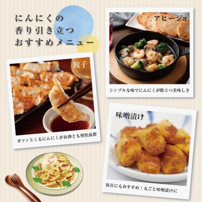 【8月上旬より順次発送】青森県産 にんにく (上級品) Mサイズ 500g