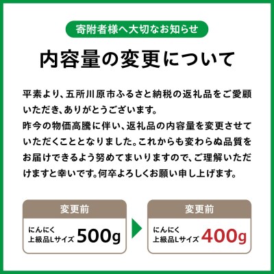 【8月上旬より順次発送】青森県産 にんにく (上級品) Lサイズ 400g