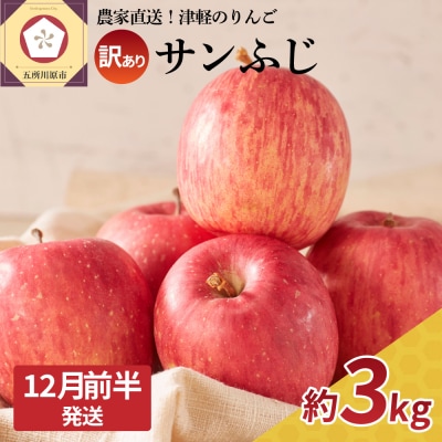 【2025年12月前半発送】【訳あり】 りんご サンふじ 約3kg 青森 果物 家庭用