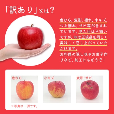 【2025年12月前半発送】【訳あり】 りんご サンふじ 約3kg 青森 果物 家庭用