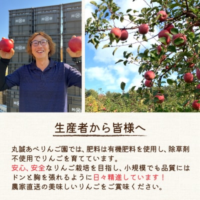 【2026年1月後半発送】【訳あり】 りんご サンふじ 約3kg 青森 果物 家庭用