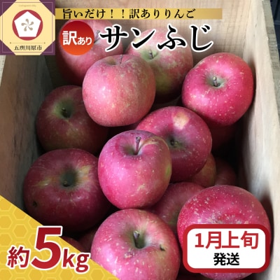 【2026年1月上旬発送】【訳あり】りんごサンふじ5kg青森