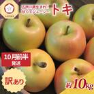 【2025年10月前半発送】訳あり トキ 約10kg