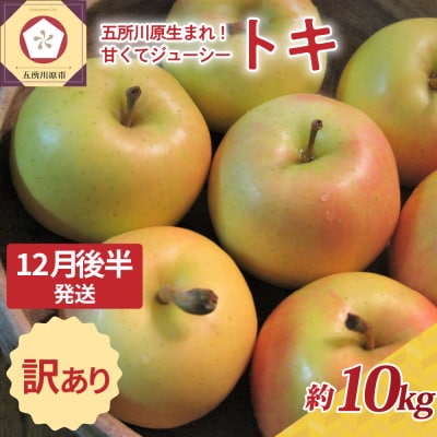 【2025年12月後半発送】訳あり トキ 約10kg