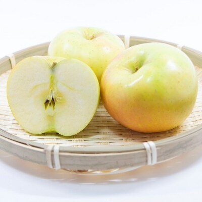 【2025年12月後半発送】訳あり トキ 約10kg