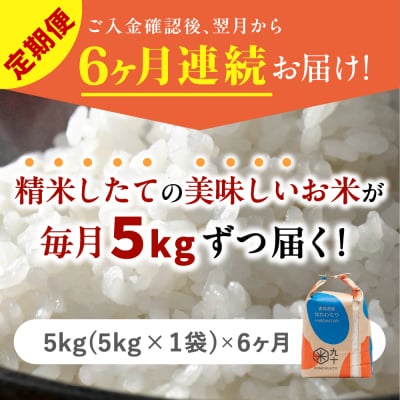 【定期便6ヶ月】 米 5kg はれわたり 青森県産 (精米) 定期便6回 5kg×6回