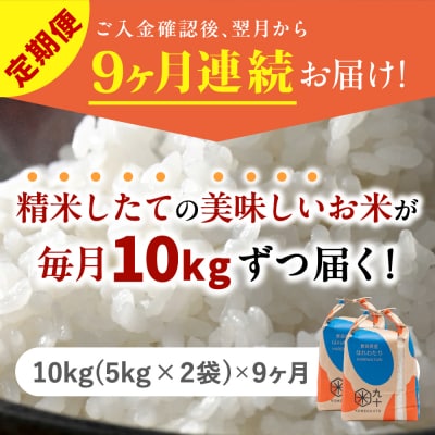 【定期便 9ヶ月】 米 10kg はれわたり 青森県産 (精米) 定期便9回 10kg×9回