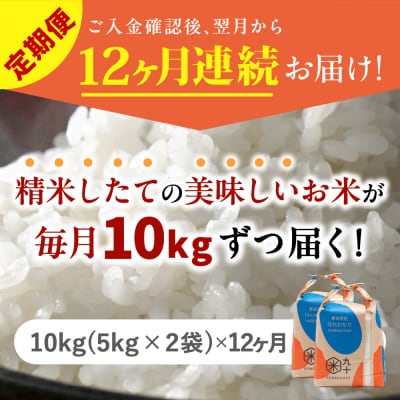 【定期便 12ヶ月】 米 10kg はれわたり 青森県産 (精米) 定期便12回 10kg×12回