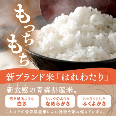 【定期便 隔月3回】 米 5kg はれわたり 青森県産 (精米) 定期便3回 5kg×3回