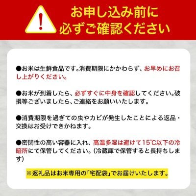 【定期便 隔月3回】 米 10kg はれわたり 青森県産 (精米) 定期便3回 10kg×3回