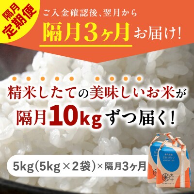 【定期便 隔月3回】 米 10kg はれわたり 青森県産 (精米) 定期便3回 10kg×3回