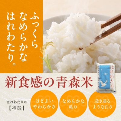 青森県ブランド米 10kg (はれわたり5kg × まっしぐら5kg) 
