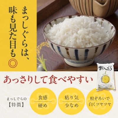 【2026年1月後半発送】青森県ブランド米 10kg (はれわたり5kg × まっしぐら5kg)