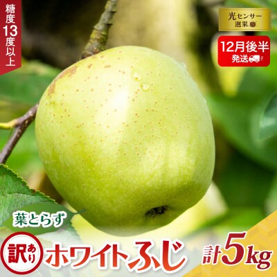 【2025年12月後半発送】【訳あり】葉とらずホワイトふじ5kg