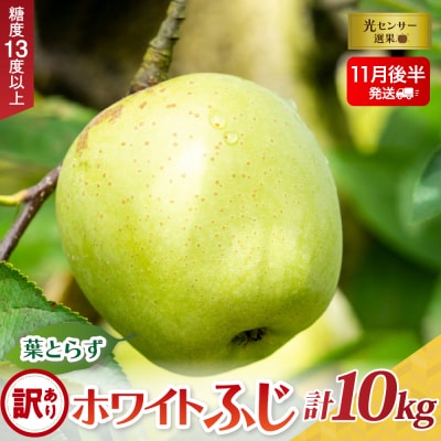 y2025N11㔼zy󂠂ztƂ炸zCgӂ10kg
