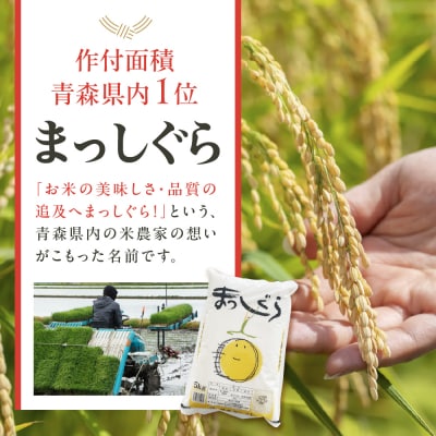 米 まっしぐら5kg(白米) お米 青森