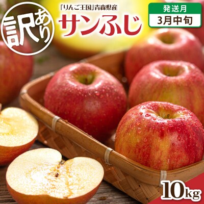 【2027年3月中旬発送】【訳あり】 りんご 約10kg サンふじ 青森県産