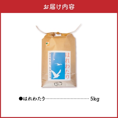 【令和7年産米】 米 はれわたり 5kg 特A 取得歴有 特別栽培米 青森県産
