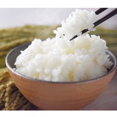 【令和7年産米】 特別栽培米 青天の霹靂・はれわたり 計10kg(5kg×2) 青森県産