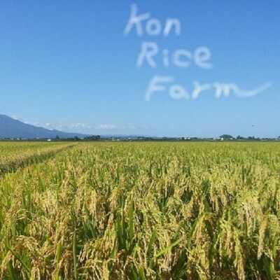 【令和7年産米】 特別栽培米 青天の霹靂・はれわたり 計10kg(5kg×2) 青森県産