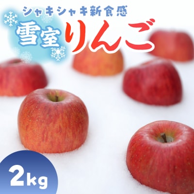雪室りんご サンふじ 2kg 程度 2026年3月上旬～下旬 順次発送 青森
