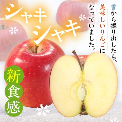 雪室りんご サンふじ 2kg 程度 2026年3月上旬～下旬 順次発送 青森