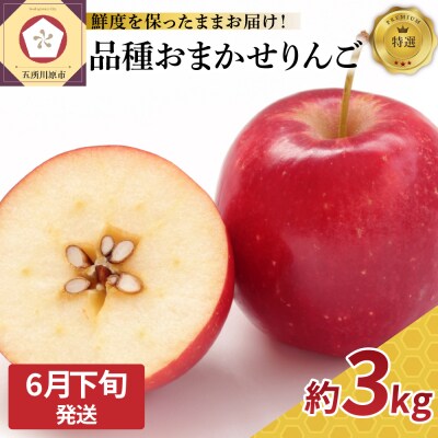 【6月下旬発送】特撰丸かじりりんご約3kg 品種おまかせ1種(スマートスレッシュまたはCA貯蔵)