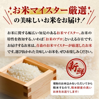 【定期便 隔月6回】青天の霹靂 定期便6回 米5kg 計 30kg 青森