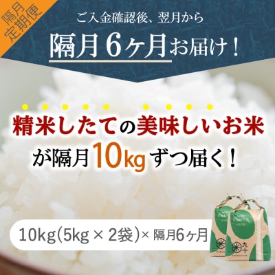 【定期便 隔月6回】 米 10kg まっしぐら 青森県産 (精米) 定期便6回 10kg×6回