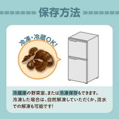 【10月より発送】生きくらげ 1kg(500g×2袋) 国産 キクラゲきのこ 五所川原市