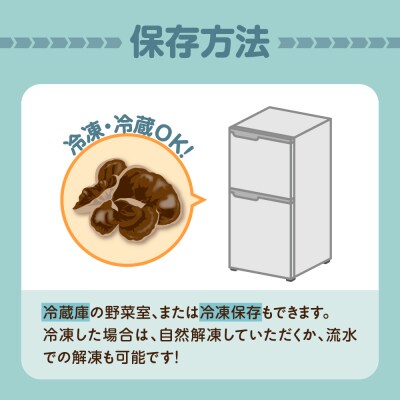 生きくらげ 1kg(500g×2袋) 国産 キクラゲきのこ 五所川原市