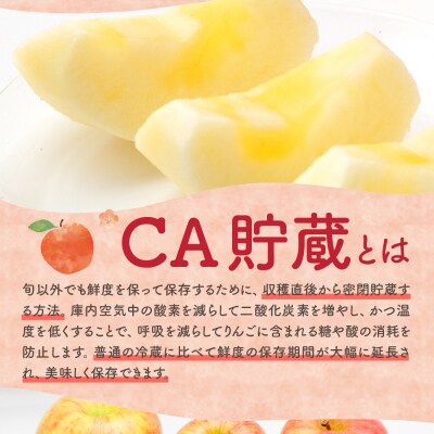 【2026年5月中旬発送】【訳あり】りんご3kg有袋ふじ スマフレTM貯蔵またはCA貯蔵・クール便