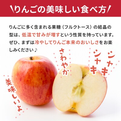 【3月後半発送】 りんご 約3kg 丸福 サンふじ 光センサー選果 糖度13度以上 青森