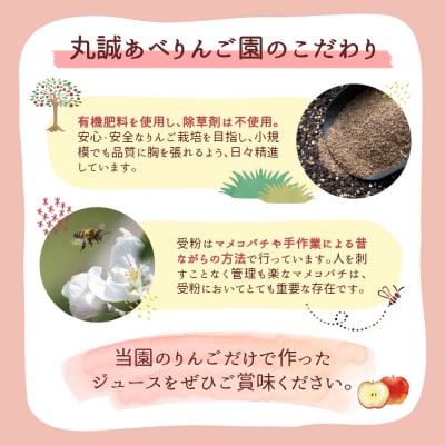 千雪のりんごジュース ストレート 1L×2本 青森 酸化防止剤無添加 無濾過 果汁飲料 瓶 五所川原