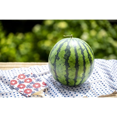  【2025年8月前半発送】 青森県産 スイカ 大玉 1玉 秀品【先行受付】