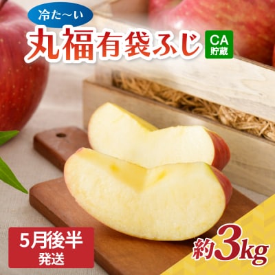 りんご ふじ 丸福 約3kg【2026年5月後半発送】CA貯蔵 有袋ふじ