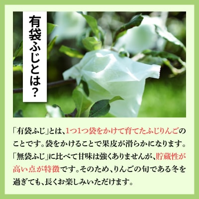 りんご ふじ 丸福 約3kg【2026年5月後半発送】CA貯蔵 有袋ふじ